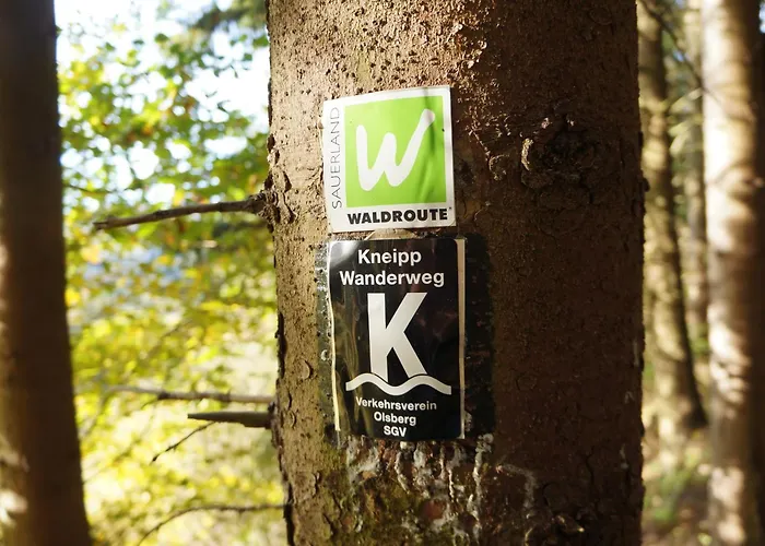 Waldhotel Schinkenwirt Olsberg