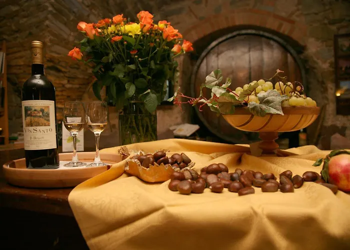 Hotels in Castellina in Chianti
