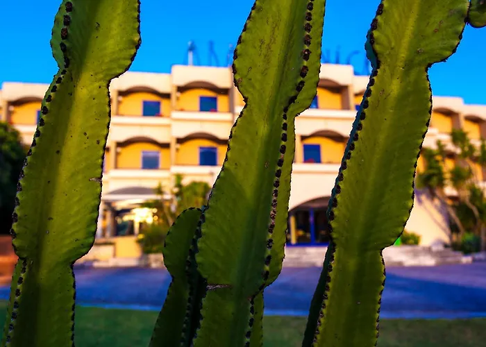 Araba Fenice Village