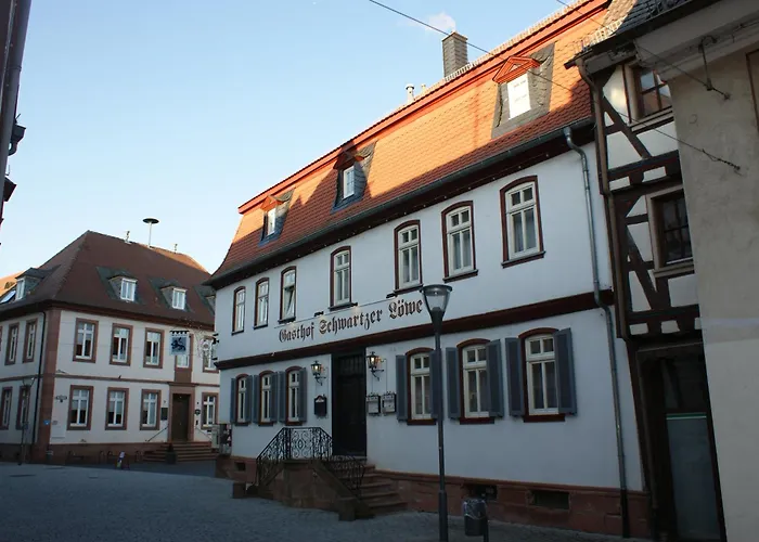 Hotel Schwartzer Loewe Babenhausen 