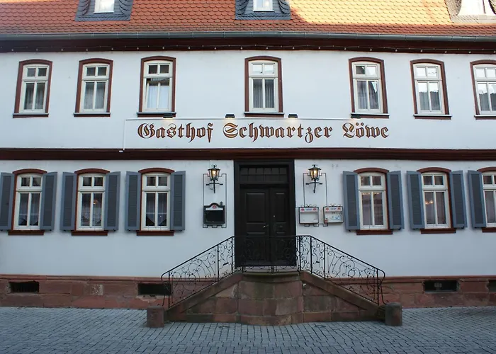 Hotel Schwartzer Loewe Babenhausen 