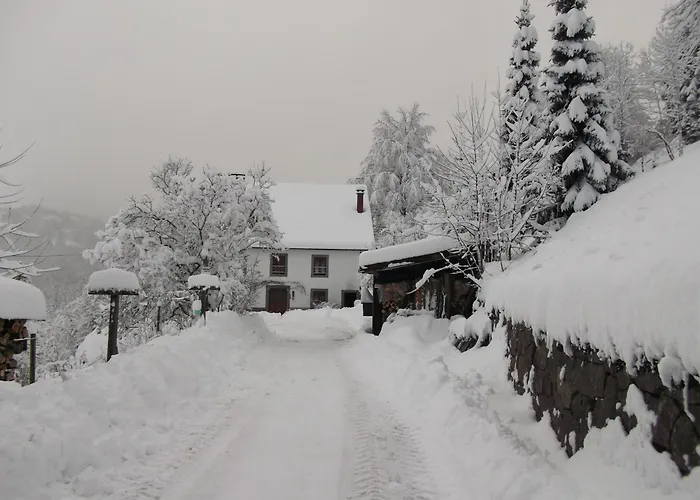 La Ferme du Vieux Sapin