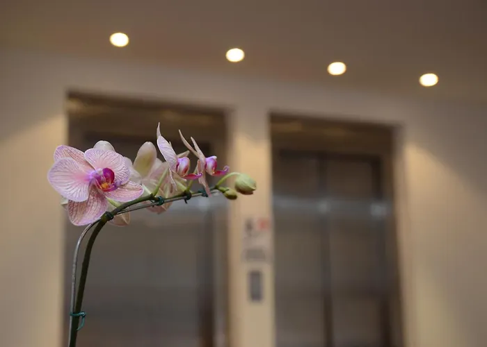 Grand Crucero Hotel Puerto Iguazú
