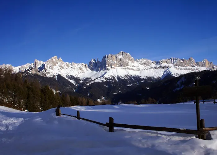 Gasthof Edelweiss Tires