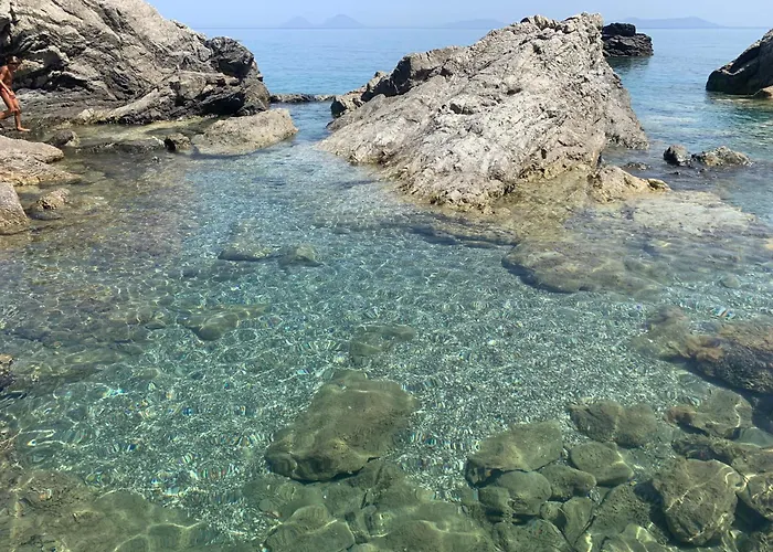 Il Fiore Bianco