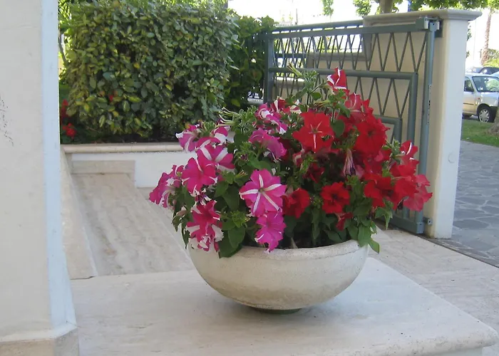 Hotel Miramare Giulianova