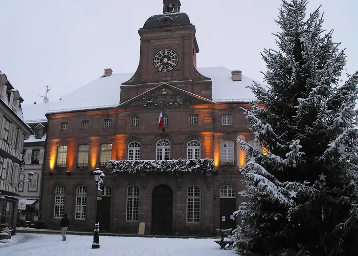 Hôtel d'Alsace Wissembourg