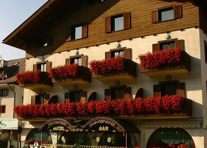 Hotel International Tarvisio