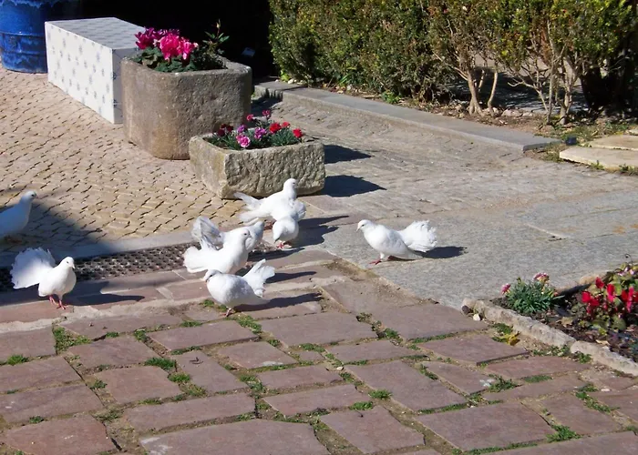 Villa Das Rosas Sintra
