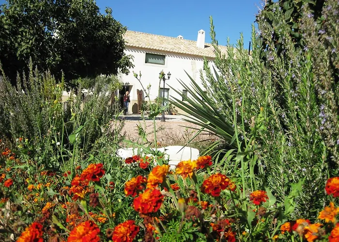 Jardines de Casablanca
