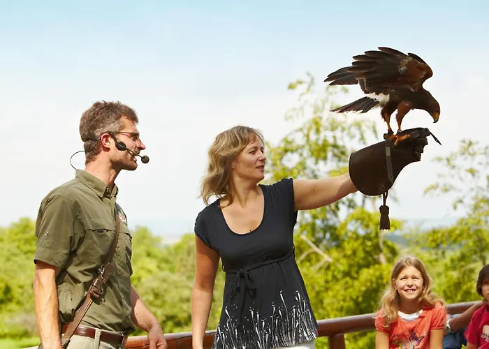 Erlebnispark Tripsdrill Natur-Resort Cleebronn