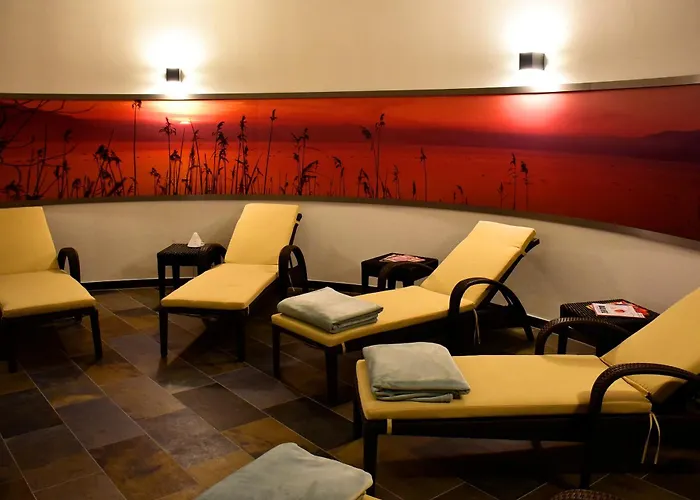 Villa Linde Seehotel Bodman-Ludwigshafen