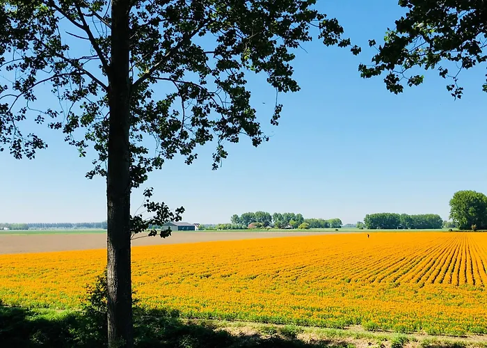 Slapen bij de Zeeuwse Lala Hotel IJzendijke