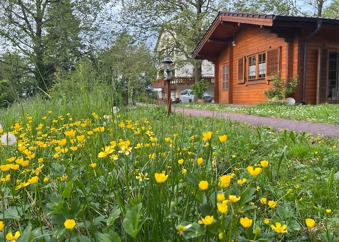 Hotels in Wiesloch