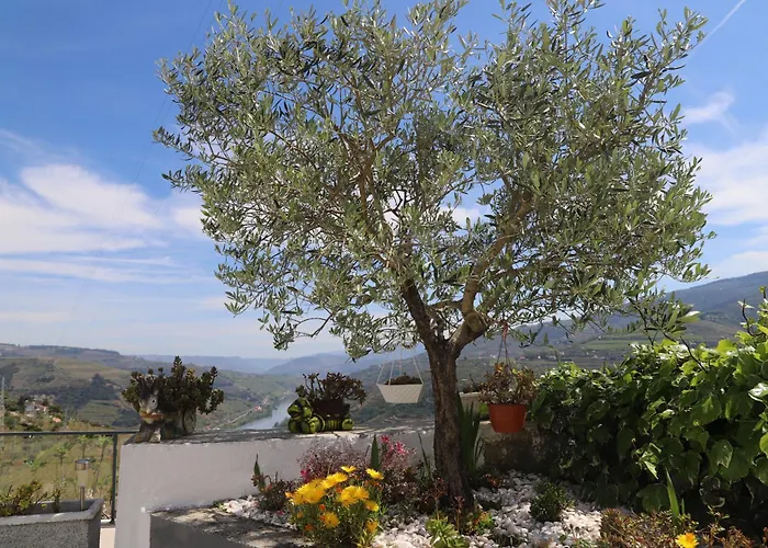 Casa Vale Do Douro
