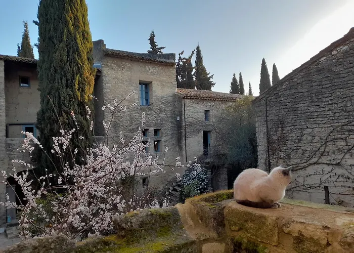 Le Mas du Lac Uzès