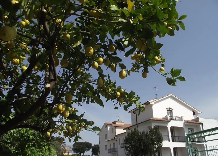 Riviera Apartments Pietra Ligure