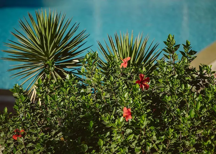 Bed and Breakfast Dar Maktoub Agadir