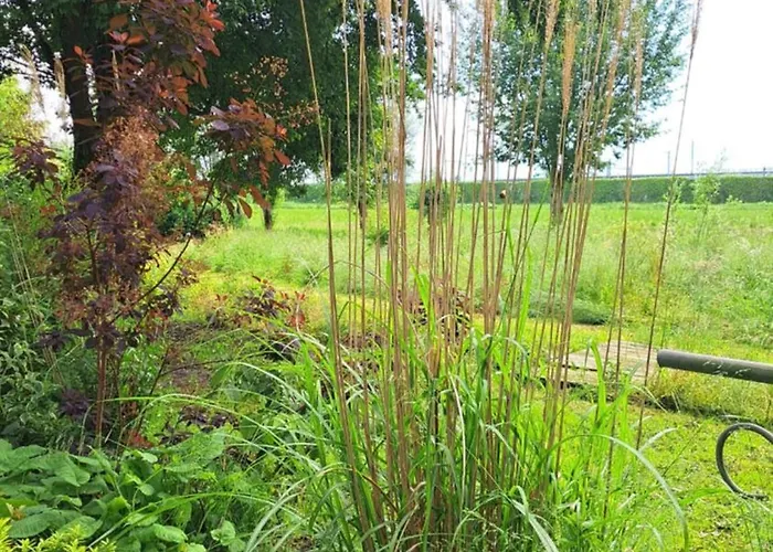 De Gaanderij Bed and Breakfast Barendrecht