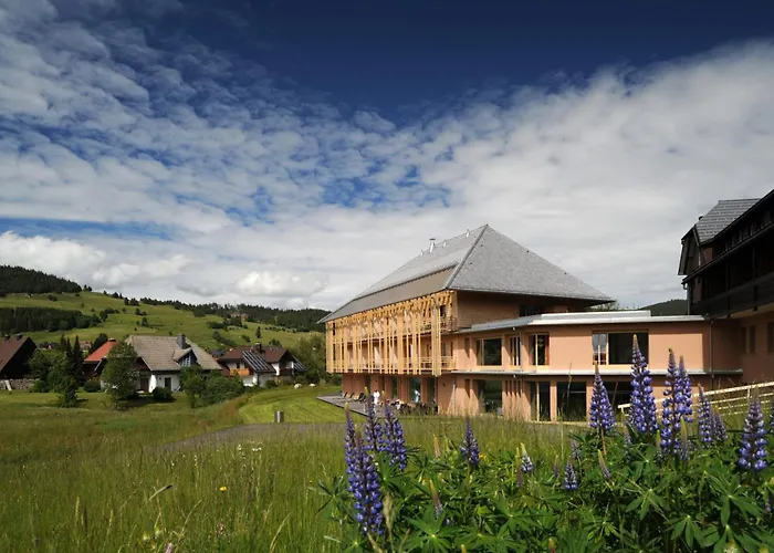 Natur&Wellnesshotel Breggers Schwanen - Bernau im Schwarzwald