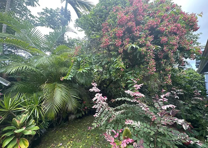 Hawaiian Ohana Home