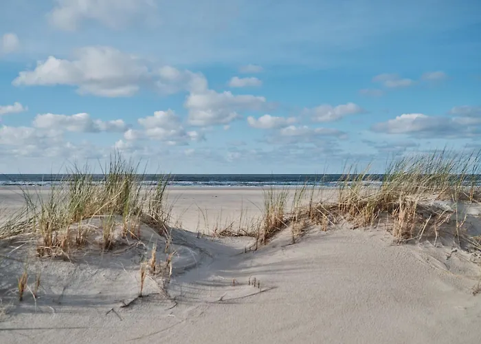 Hotel New Wave Norderney