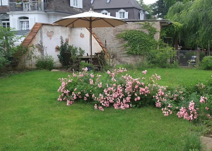 Biopension Satya Offenburg