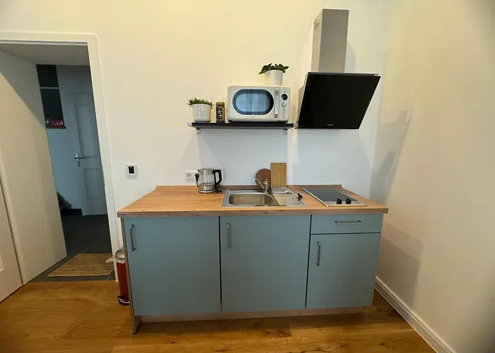 Boutique Hotel Pension Luisengrün Küche 1Gbs WLAN Netflix Disney MagentaTV Chemnitz