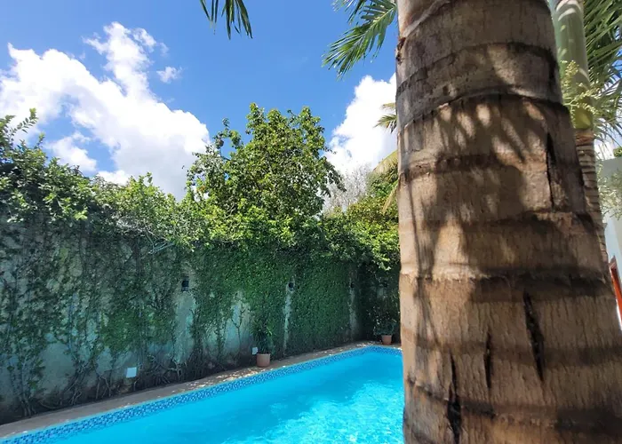 Green Oasis Hotel