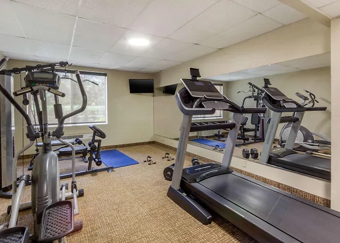 Comfort Inn St Petersburg North