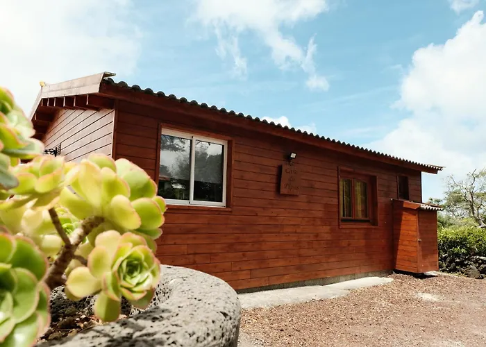 Adega Da Quinta -Casa Da Pipas Hotel Madalena 