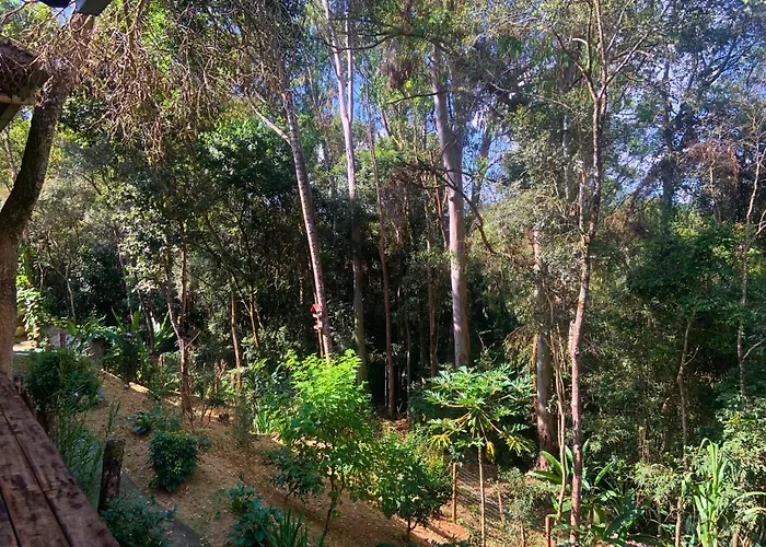 Hotéis de Macacos (Nova Lima)