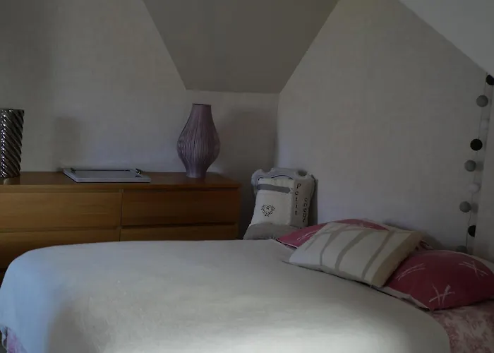 grande chambre lumineuse et spacieuse 22m2