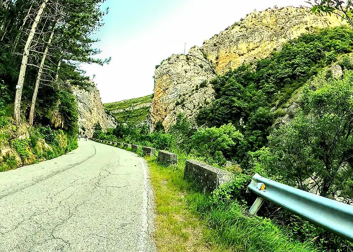 Hostal Turbon Campo 