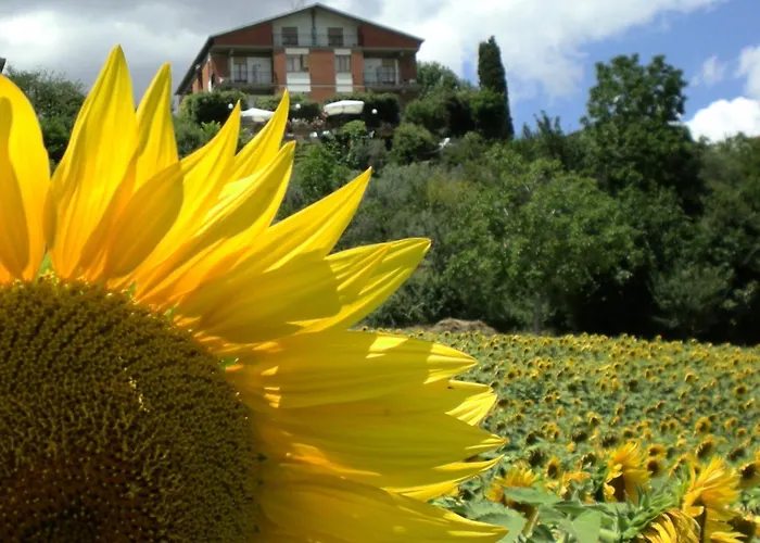 Hotel Sangallo B&B - Panoramic Position - Valley And Vineyard View- Family Run