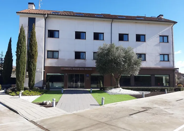 Hotel Pago Del Olivo Simancas