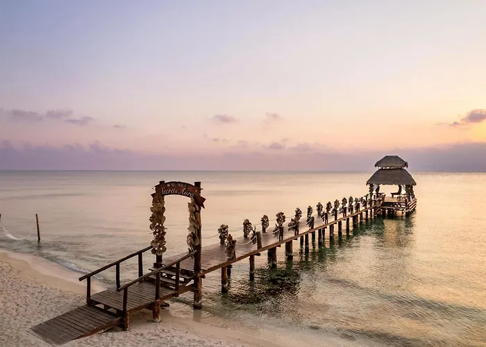 Secrets Aura Cozumel - Adults Only Hotel
