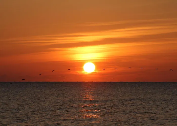 Oceanfront Inn And Suites - Ormond Ormond Beach