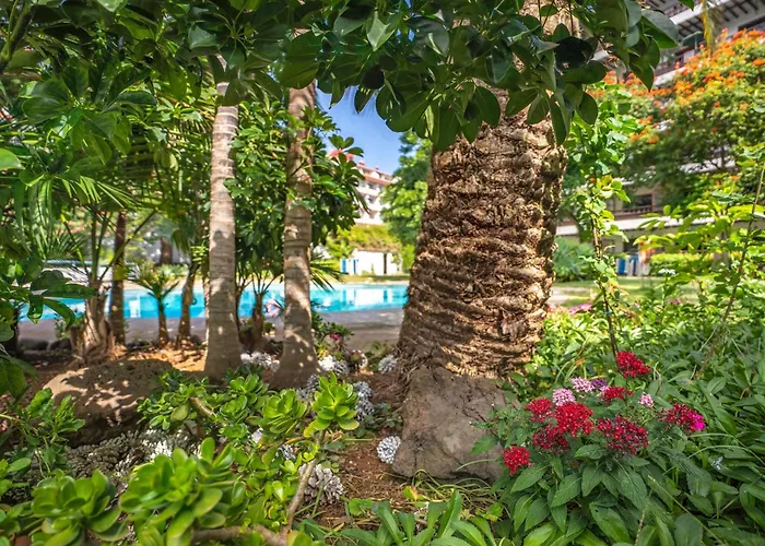 Aparthotel Coral Teide Mar Puerto de la Cruz 