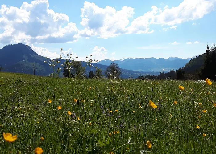 Hotel Alpengasthof Löwen Bad Hindelang