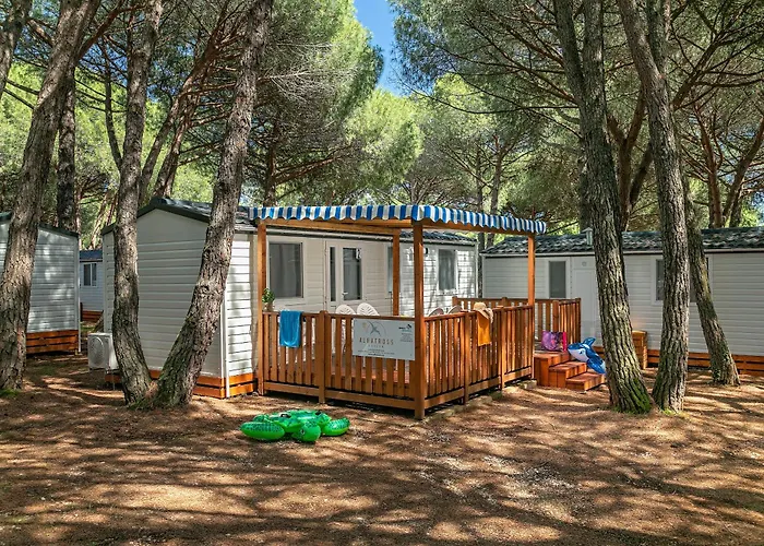 Albatross Mobile Homes On Camping Bi Village