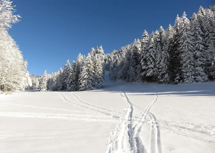 Gîte La Résilience, sur la piste de ski d'Autrans