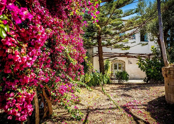 Villa Puolo - With Private Sea Access Sorrento