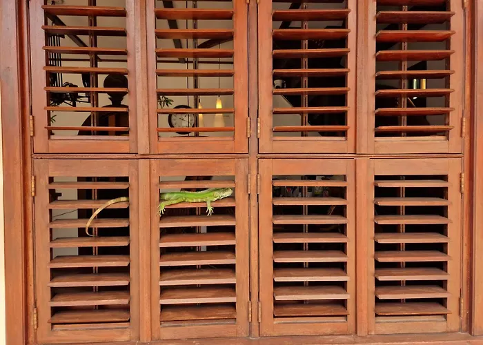 Greenheart Boutique Hotel Paramaribo