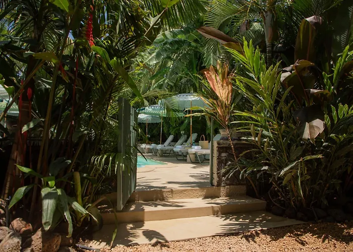 Maison Tropical