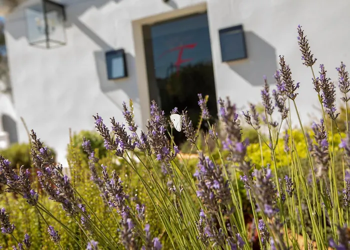 Mas de la Fouque - Hôtel&Spa