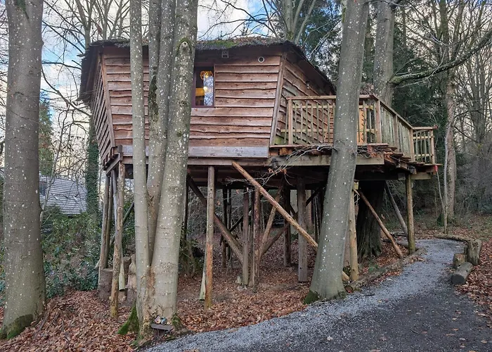 B&B La Cabane Du Bois Dormant Spa