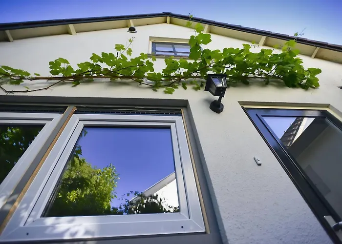 Logies Op Dreef Bed and Breakfast Driebergen