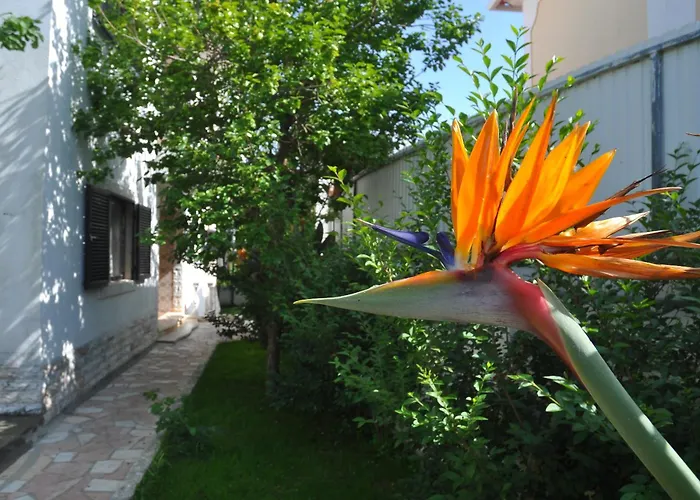 Bed and Breakfast Manelisa Cascais
