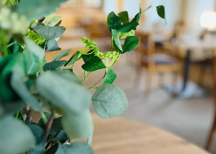 Hotel-Restaurant Kohlenbacher-Hof Waldkirch